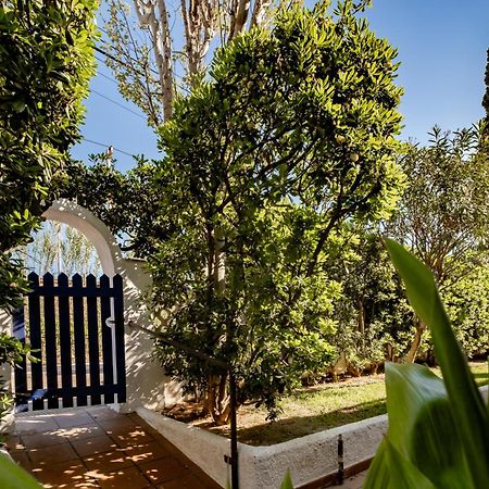 Paraiso Frente Al Mar Apto Duplex コマルガ エクステリア 写真