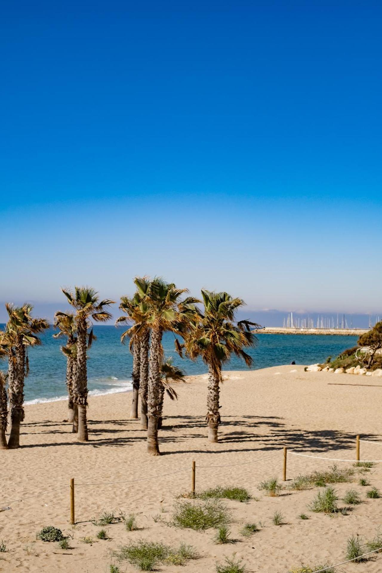 Paraiso Frente Al Mar Apto Duplex コマルガ エクステリア 写真